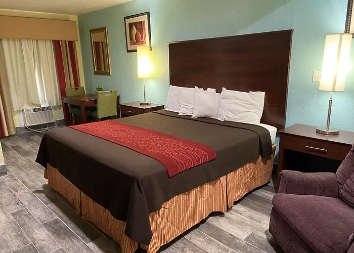 Pets Allowed Hotel Delux Inn