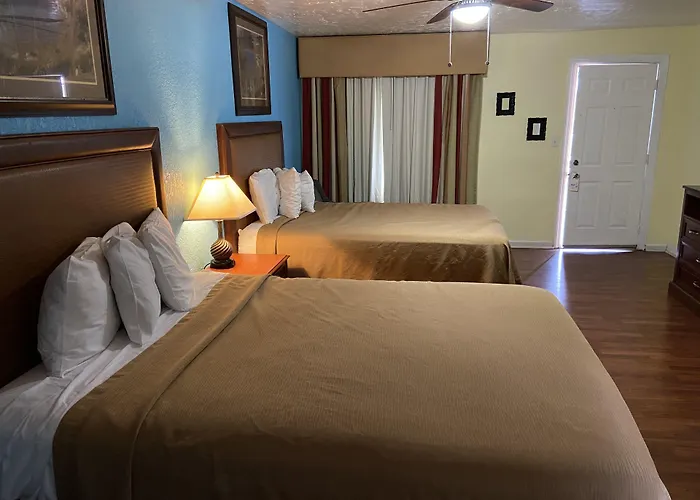 Pets Allowed Hotel Delux Inn